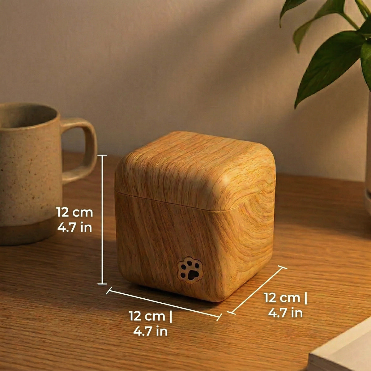 Pop-Up Cat Night Light