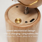 Wooden Mushroom Automaton