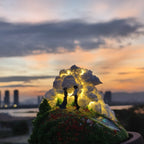 Artisan 3D Miniature Scenes - Howl and Sophie - eulique shop