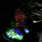 Artisan 3D Miniature Scenes - Howl's Moving Castle #2 - eulique shop