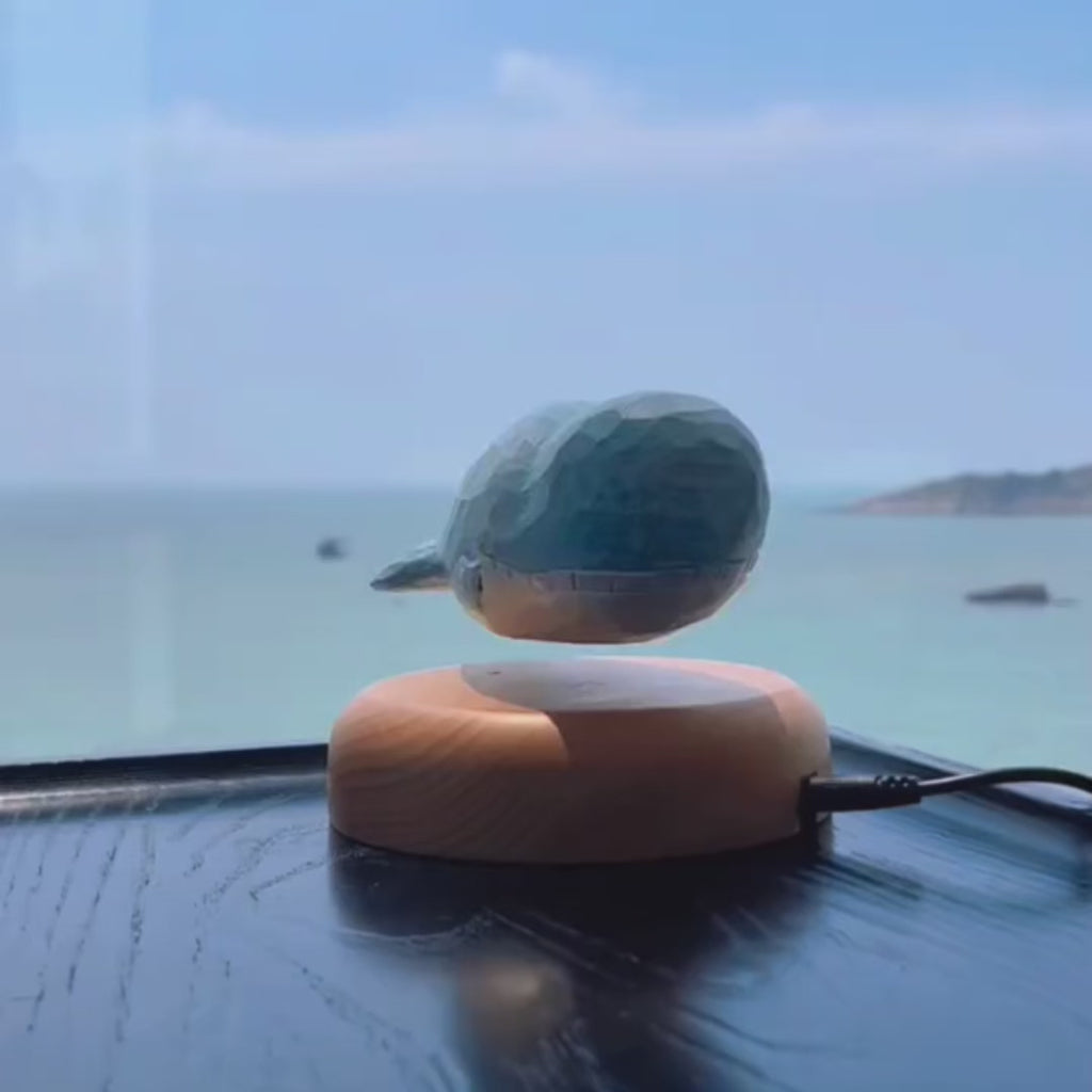 Wooden Floating Whale